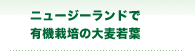 オ－ガニック栽培の大麦若葉