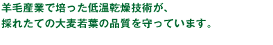 羊毛産業で培った低温乾燥技術が、採れたての大麦若葉の品質を守っています。