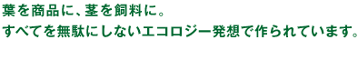 葉を商品に、茎を飼料に。
すべてを無駄にしないエコロジー発想で作られています。