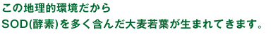 この地理的環境だから
SOD(酵素)を多く含んだ大麦若葉が生まれてきます。